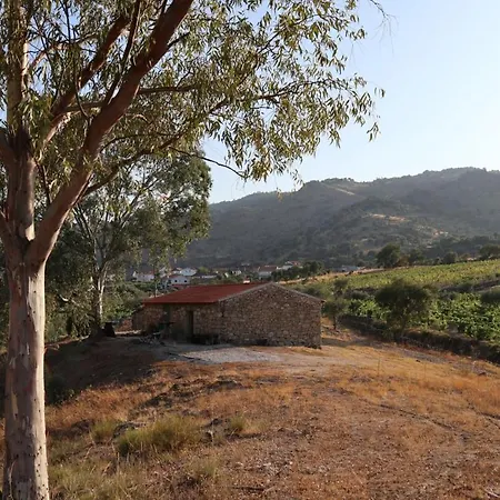 Quinta De Gandarem Torre De Moncorvo